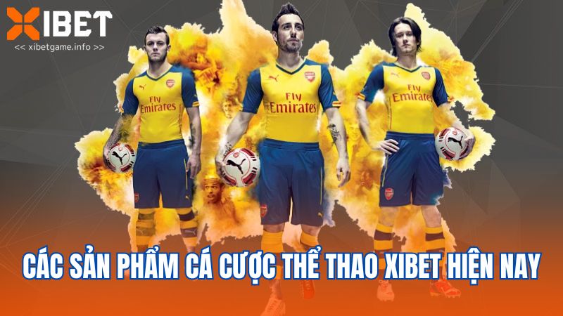 Các sản phẩm cá cược thể thao XIBET hiện nay