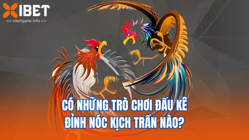 Có những trò chơi đấu kê đỉnh nóc kịch trần nào?