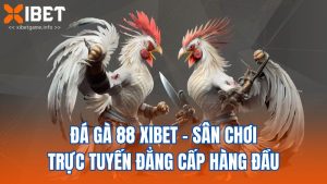 Đá Gà 88 XIBET - Sân Chơi Trực Tuyến Đẳng Cấp Hàng Đầu
